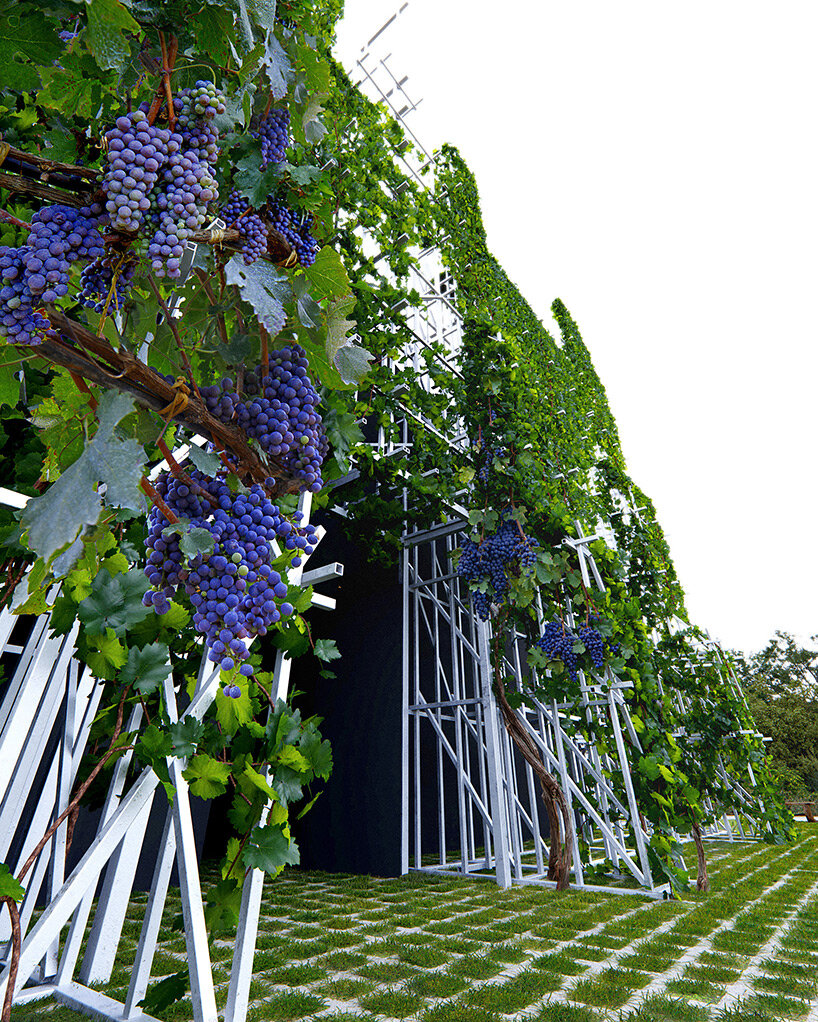 atelier jørgensen's trailside winery is a constructivist abstraction of the napa valley barn