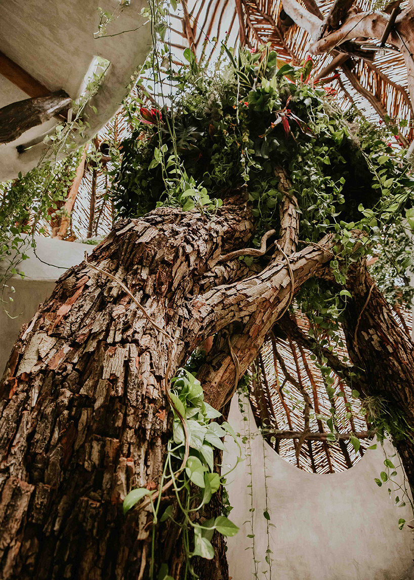 azuma makoto's monumental botanical sculpture 'MEXX' draws from lush mexican jungle