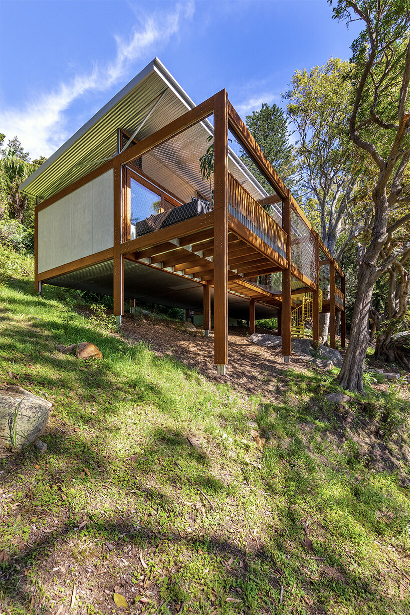 planted on a steep, rocky slope, the 'balmy palmy' house in sydney celebrates simple living