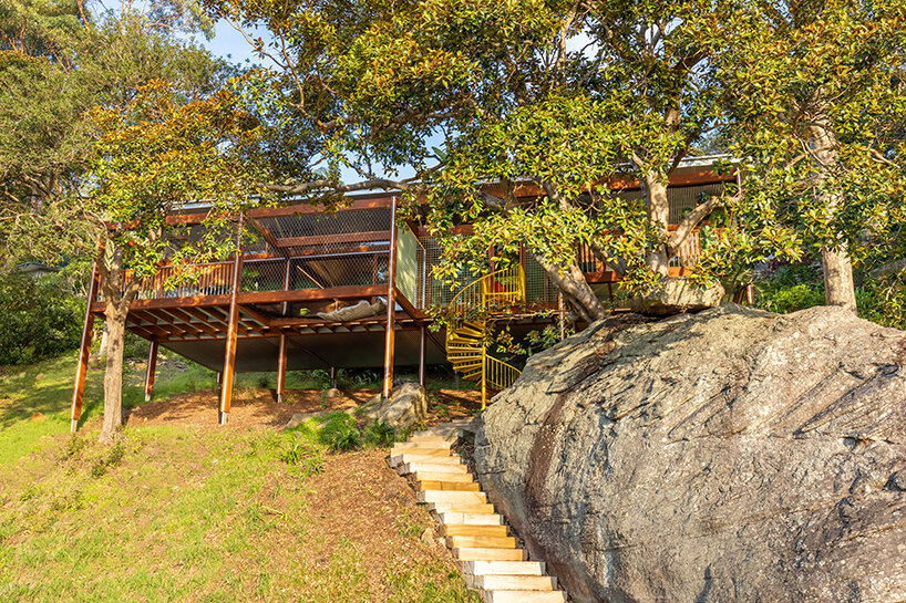 planted on a steep, rocky slope, the 'balmy palmy' house in sydney celebrates simple living