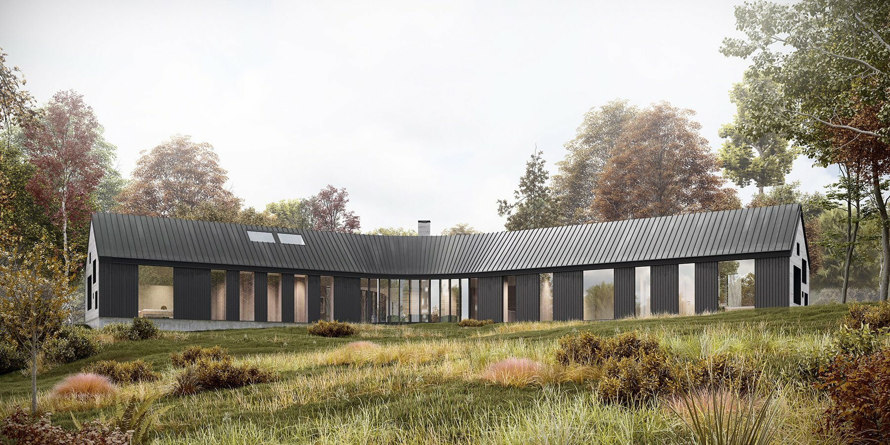 estudio-esmero-y-shaped-home-new-york-meadow-shou-sugi-ban-cedar-6