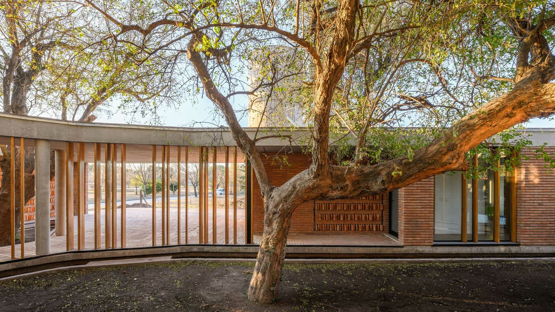 las-marias-house-winds-around-copious-tree-vegetation-cordoba-argentina-designboom-31800