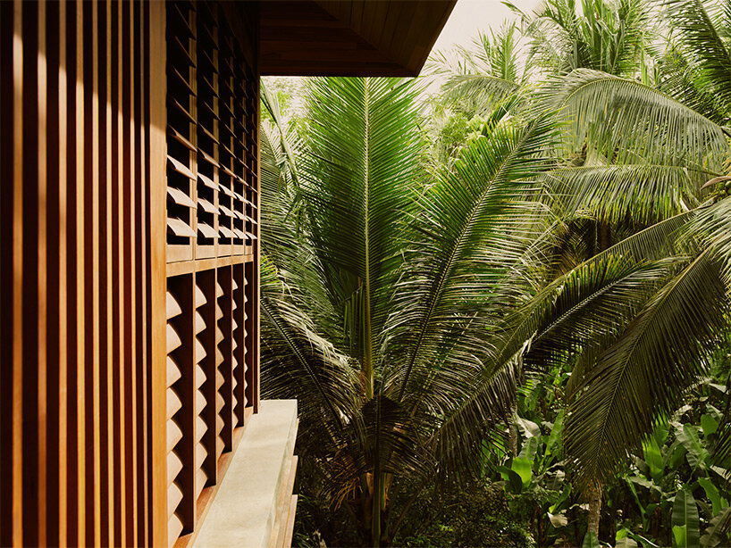 lost guest collective Lindenberg weaves the landscape of towering treehouses into the lush jungle of Bali