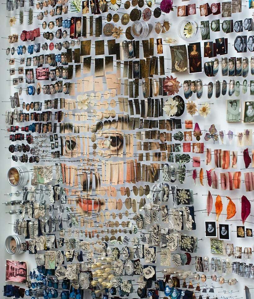 human hair, gelatin capsules & insect pins form uncanny dismantled portraits by michael mapes