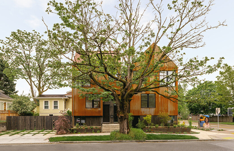 oak alder house hybrid