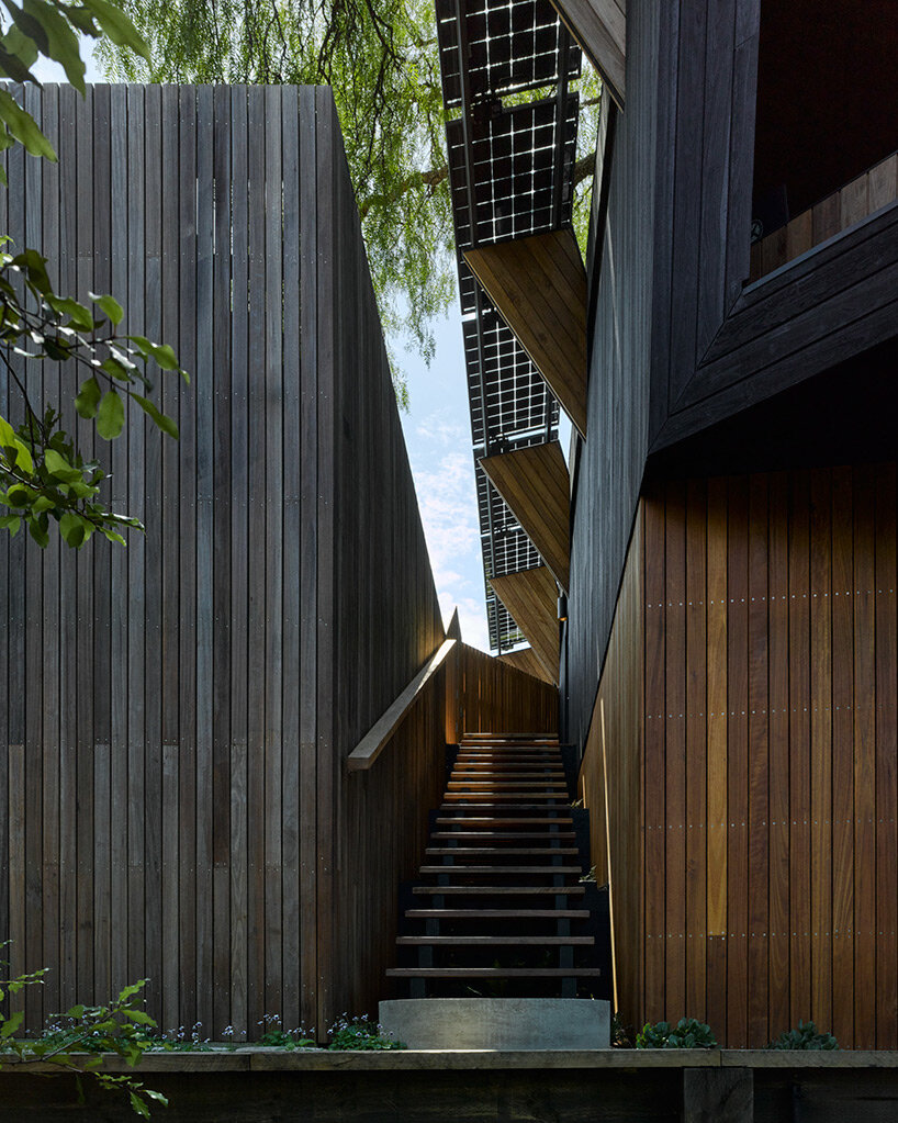 Passive timber house by Alex Symes wraps a 60-year-old tree in Australia