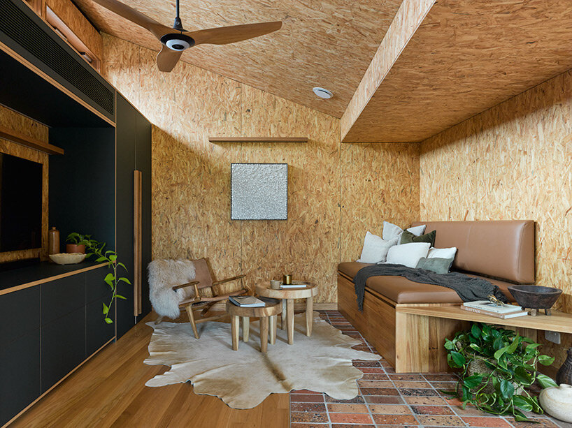 passive timber house by alex symes wraps around 60-year-old tree in australia