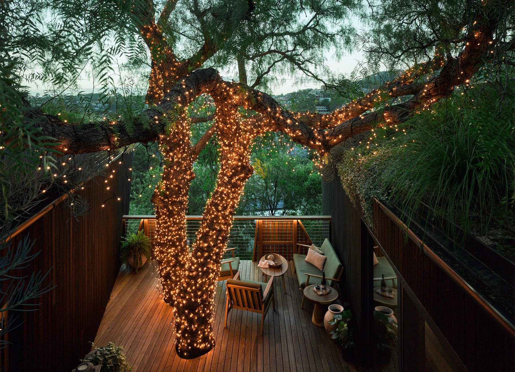 passive timber house by alex symes wraps around 60-year-old tree in ...