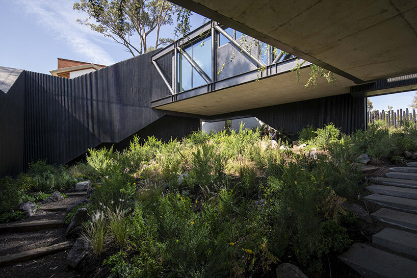 rojkind arquitectos casa pasiddhi