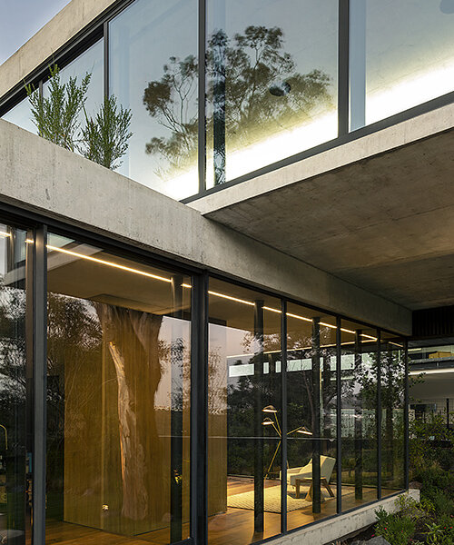 rojkind arquitectos' casa pasiddhi is a dark, introverted dwelling with a sunny garden