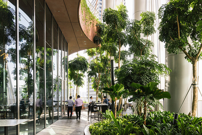 bjarke ingels and carlo ratti's biophilic 'capitaspring' skyscraper completes in singapore