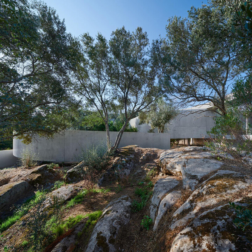 animu media library's concrete curves embrace the site's existing landscape in porto-vecchio Dominique Coulon & Associés