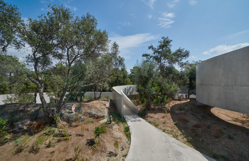 dominique coulon animu media library's concrete curves embrace the site's existing landscape in porto-vecchio