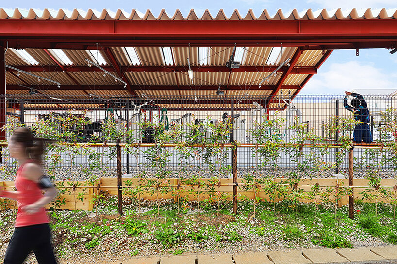 sugawaradaisuke enlivens japanese town with biophilic, semi-outdoor gym