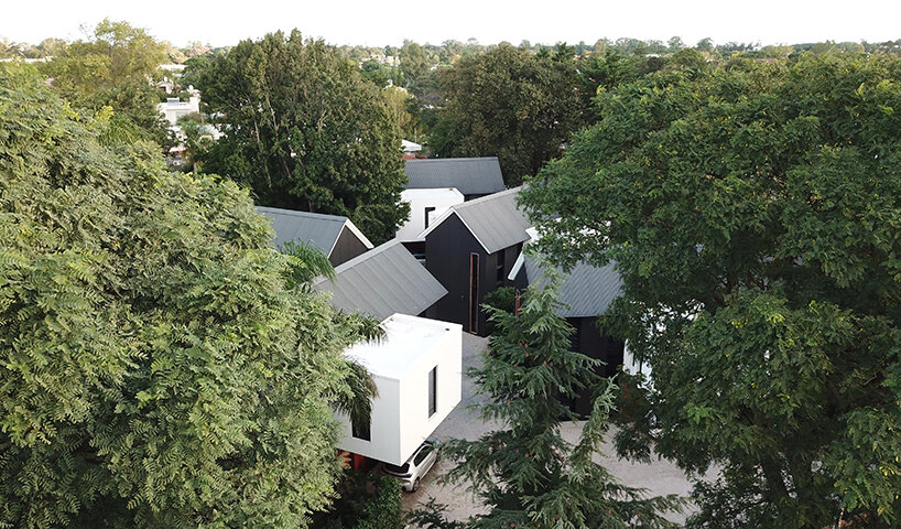 murillo 1665 designboom