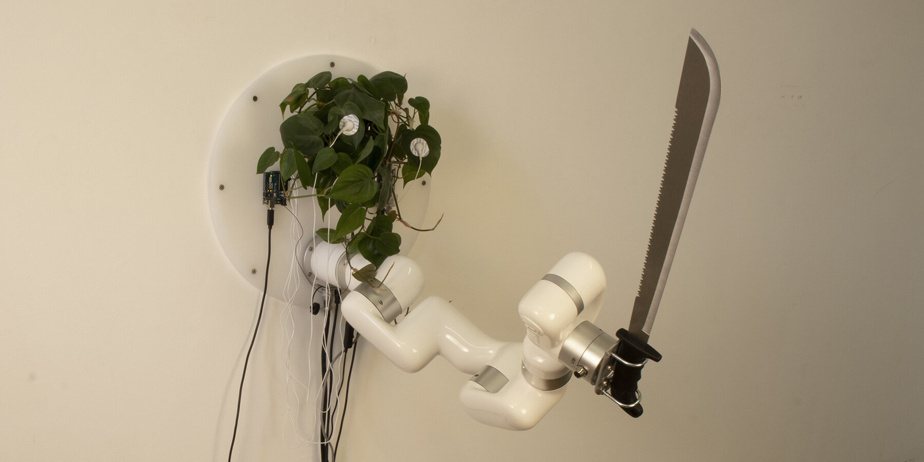 plant with robotic arm