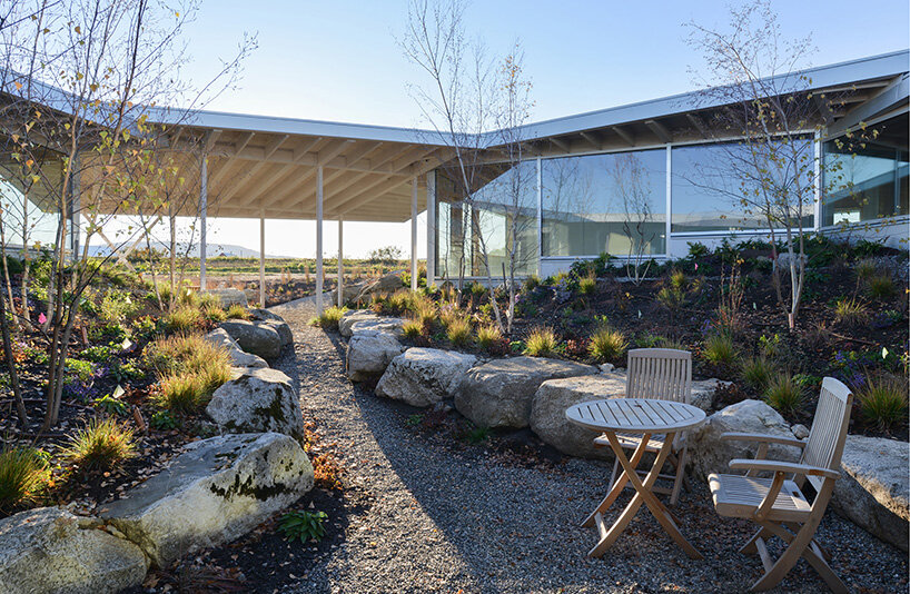 NO ARCHITECTURE organizes flower house as six overlapping pavilions in the berkshires