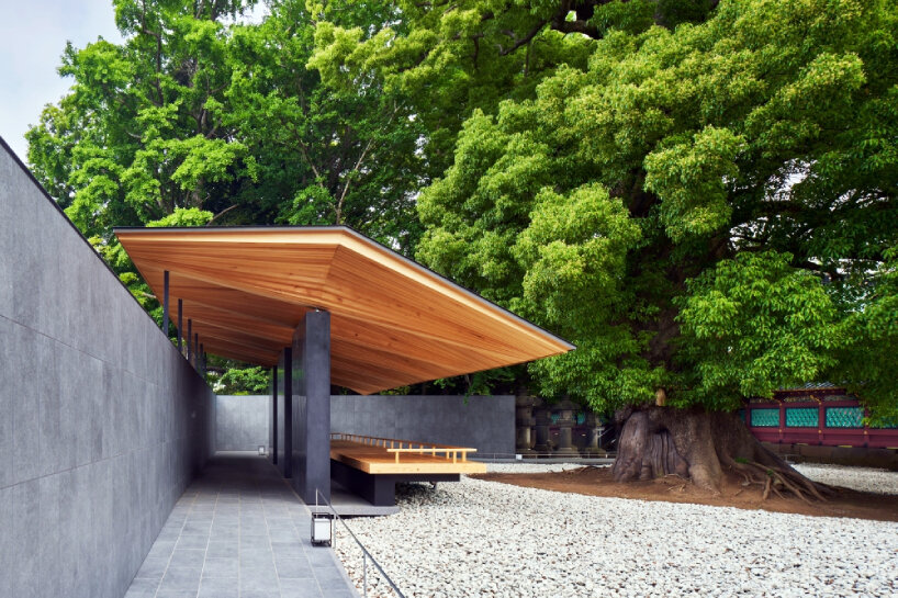 hiroshi nakamura's ueno toshogu shrine juyosho in japan revives felled ginkgo tree as roof