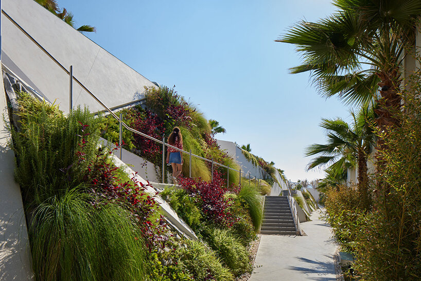 WORKac transforms disused coast in lebanon with residential landscape 'marea'