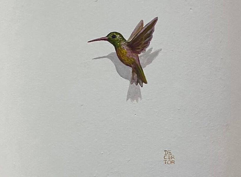 hummingbirds by decertor