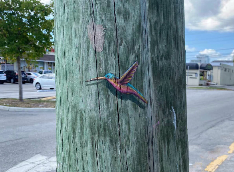 hummingbirds by decertor