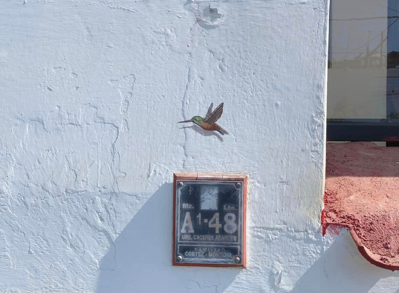 hummingbirds by decertor