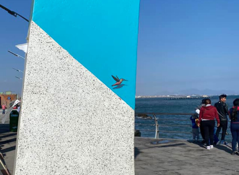 hummingbirds by decertor