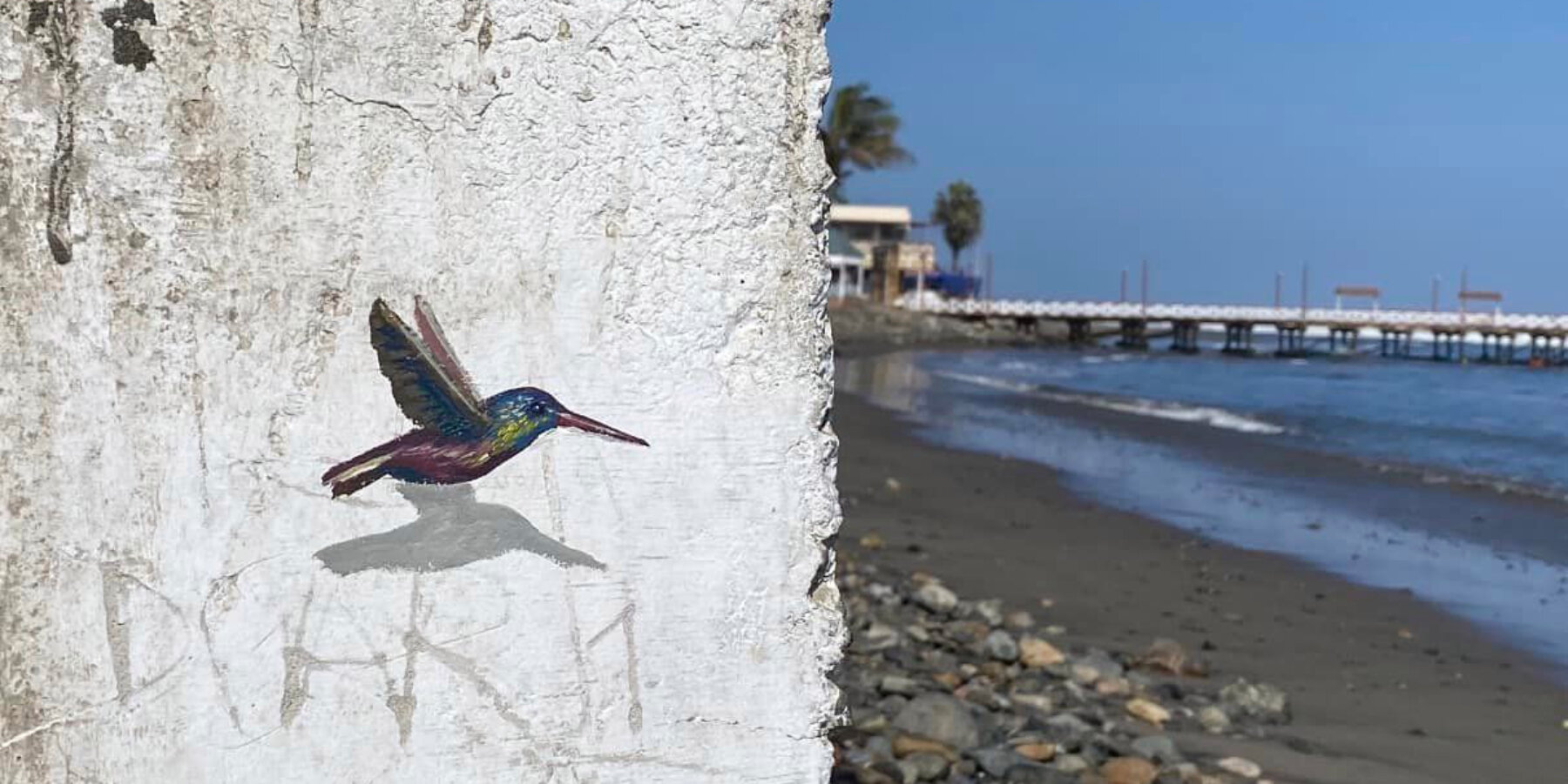 decertor-hummingbirds-walls-daniel-cortez-designboom-ban
