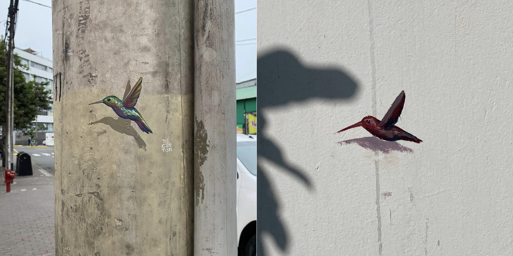 decertor-hummingbirds-walls-daniel-cortez-designboom-ban2