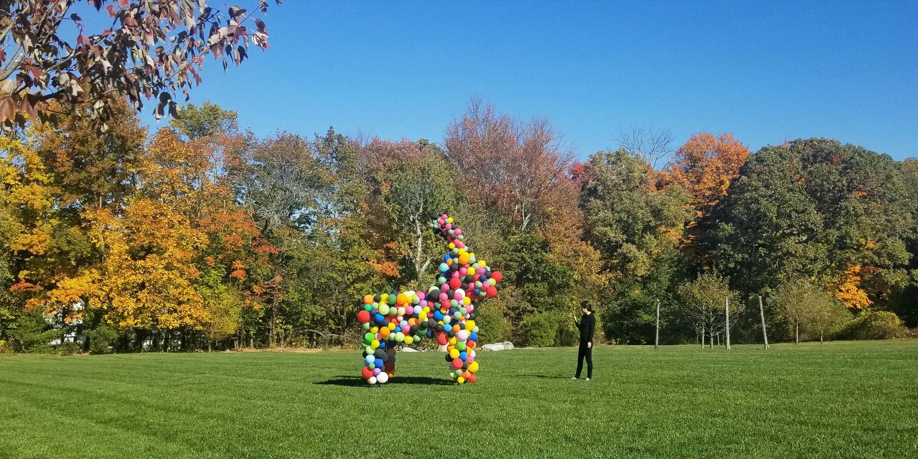 giant-balloon-installation-bethany-jaemee-studio-extinct-pyrenean-ibex-designboom-04