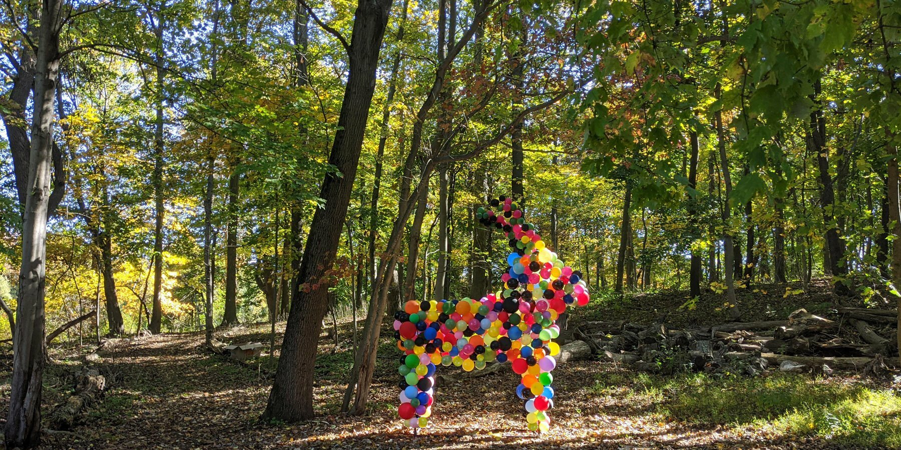 giant-balloon-installation-bethany-jaemee-studio-extinct-pyrenean-ibex-designboom-05