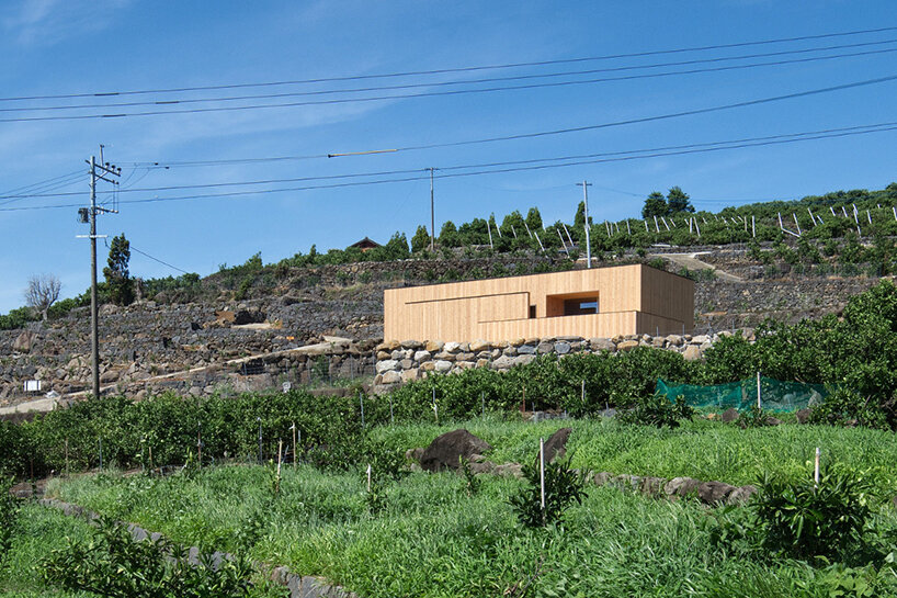 'house in tensui' emerges as a multi-layered wooden volume amid terraced fields in japan