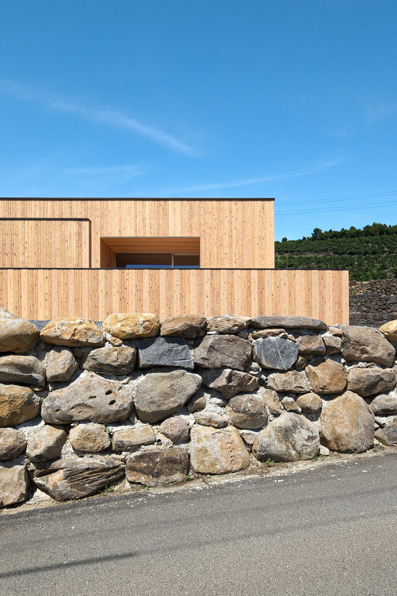 'house in tensui' emerges as a multi-layered wooden volume amid terraced fields in japan