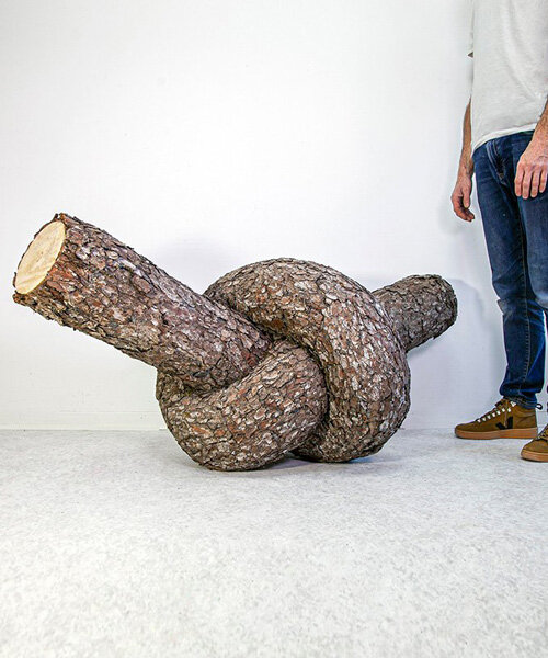 monsieur plant contorts fantastical tree trunk sculptures to explore the powers of nature