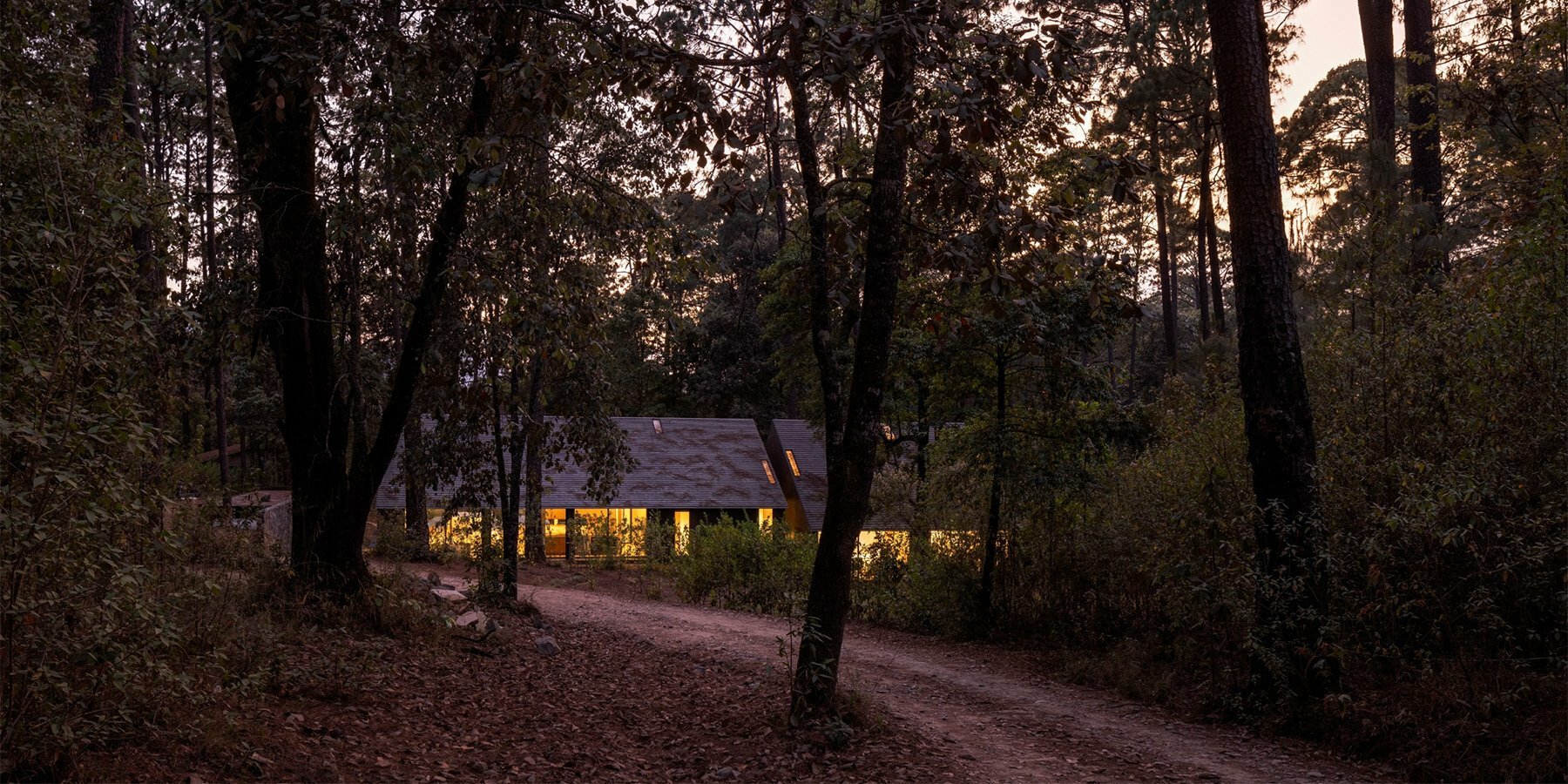 ppaa-retreat-pine-tree-woodlands-valle-de-bravo-mexico-designboom-5