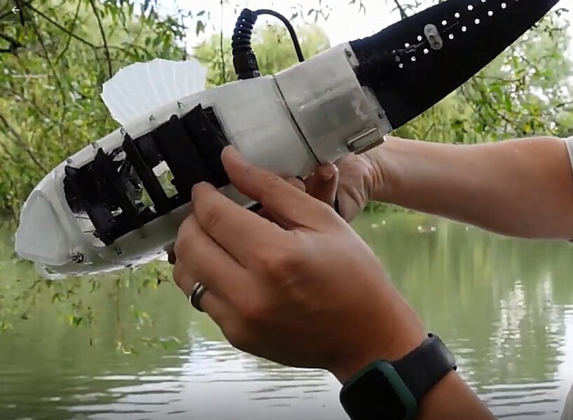 Fish robots search for pollution in the waters