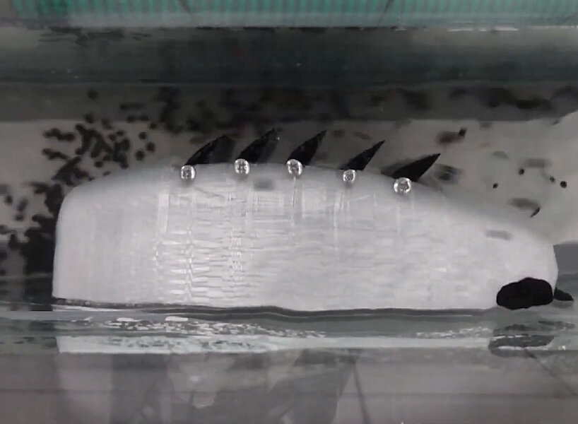 3D robot fish designed by student sucks microplastics from waterways
