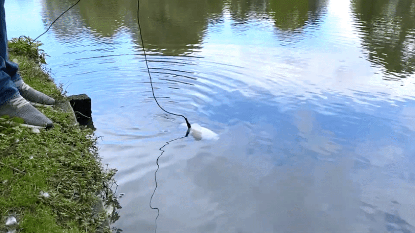 Gillbert, le poisson robotique qui aspire le microplastique des ruisseaux