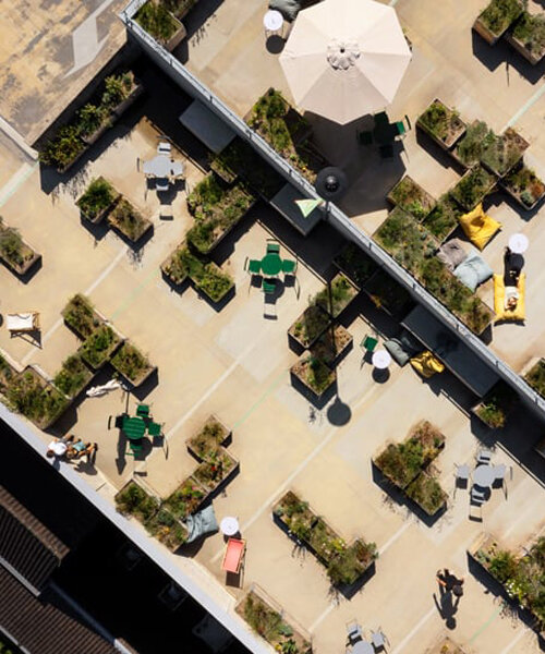 selvatico transforms car park rooftop into lively urban garden in the heart of heerlen