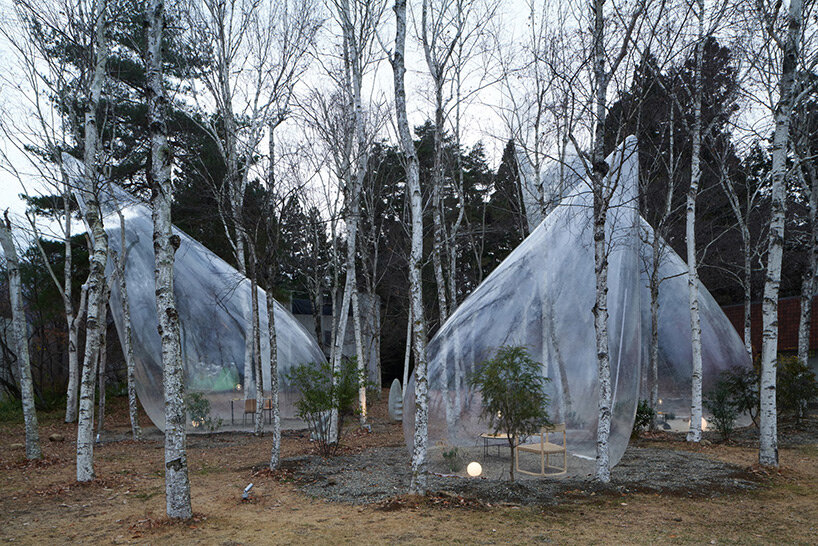 yuko nagayama's transparent drop-shaped tents dot forest in japan