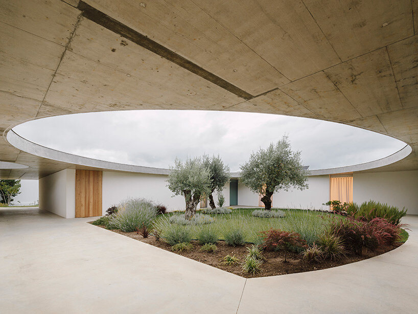 verdant circular patios contrast with orthogonal forms in bruno dias' casa âmago in portugal