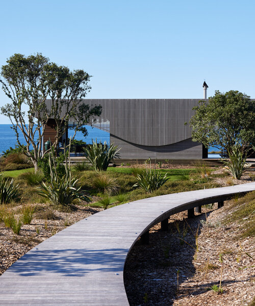herbst architects nestles this softly curving house into the new zealand dunes