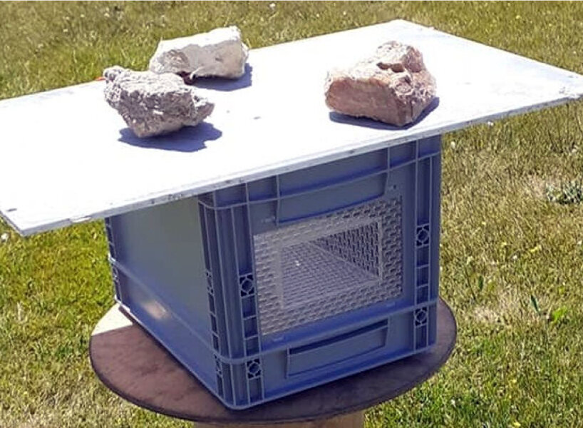 jabeprode cage asian hornets