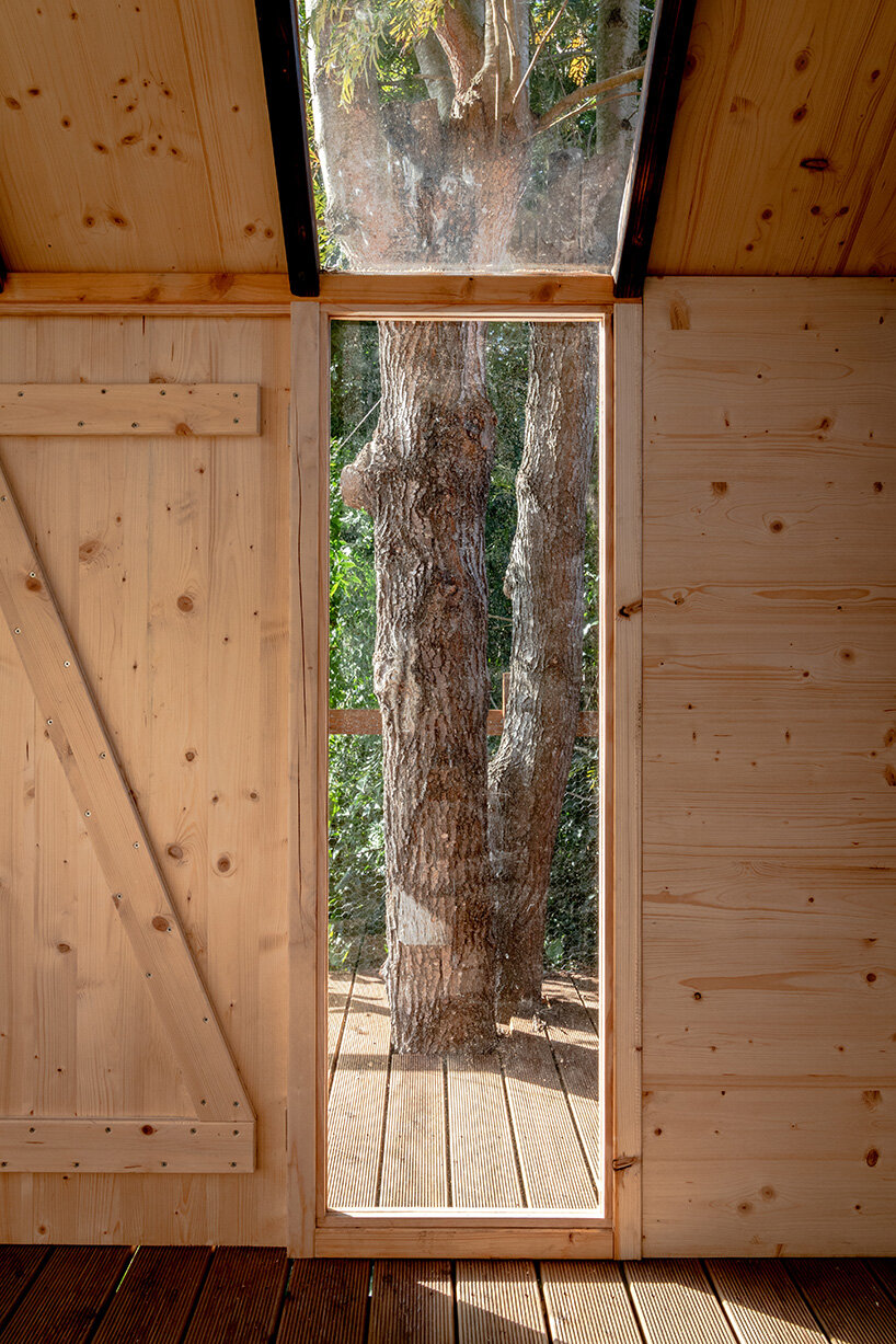 Columba Tree House / Madeiguincho