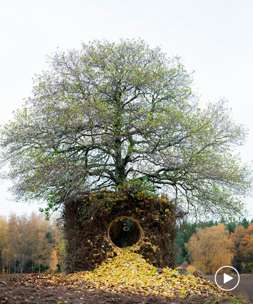 leaves scatter around island tree nest for third season of art series by UMA + antti laitinen