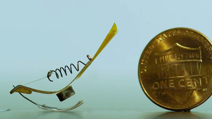 Watch mini-jumping robots simulate Springtail's clever escape response
