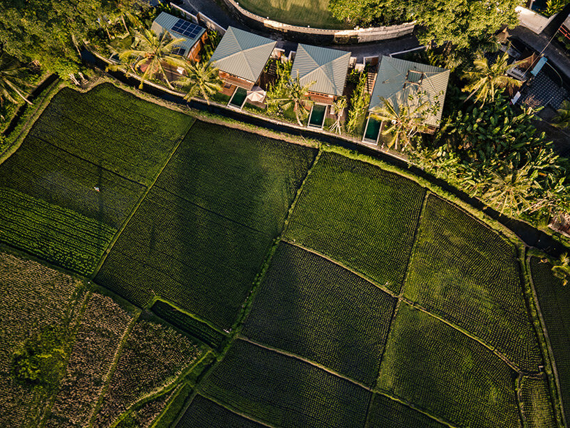 stilt studios' prefab treehouse complex treads lightly on the lush landscape of bali