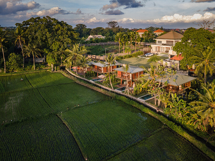 stilt studios' prefab treehouse complex treads lightly on the lush landscape of bali