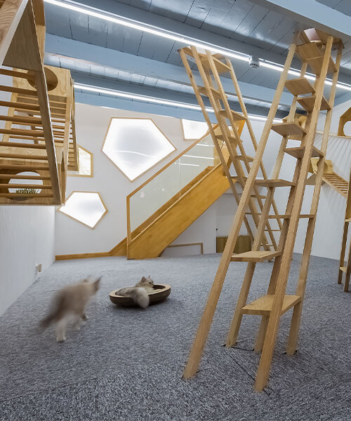 wooden ladders + tiny houses zigzag through parallect design's cat café in shanghai