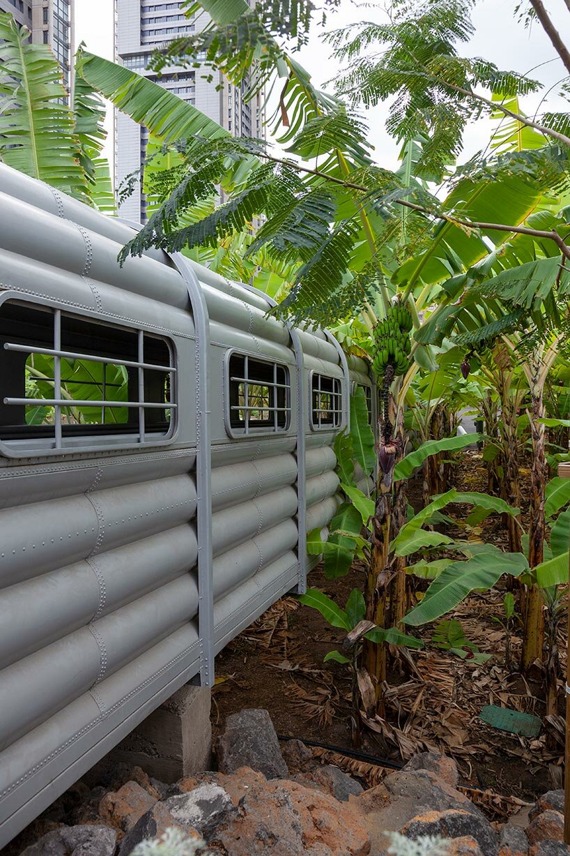 new banana garden by menis arquitectos takes over former oil tank in the canary islands